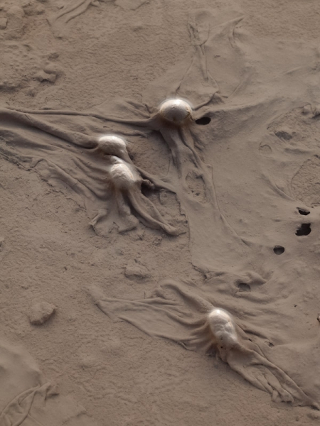 Benno Sattler - Ferner Schimmer, wenig Sicht