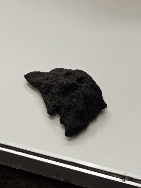 Benno Sattler - Verdacht und neue Schale