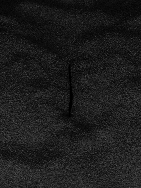 Benno Sattler - Der Mond auf den Feldern